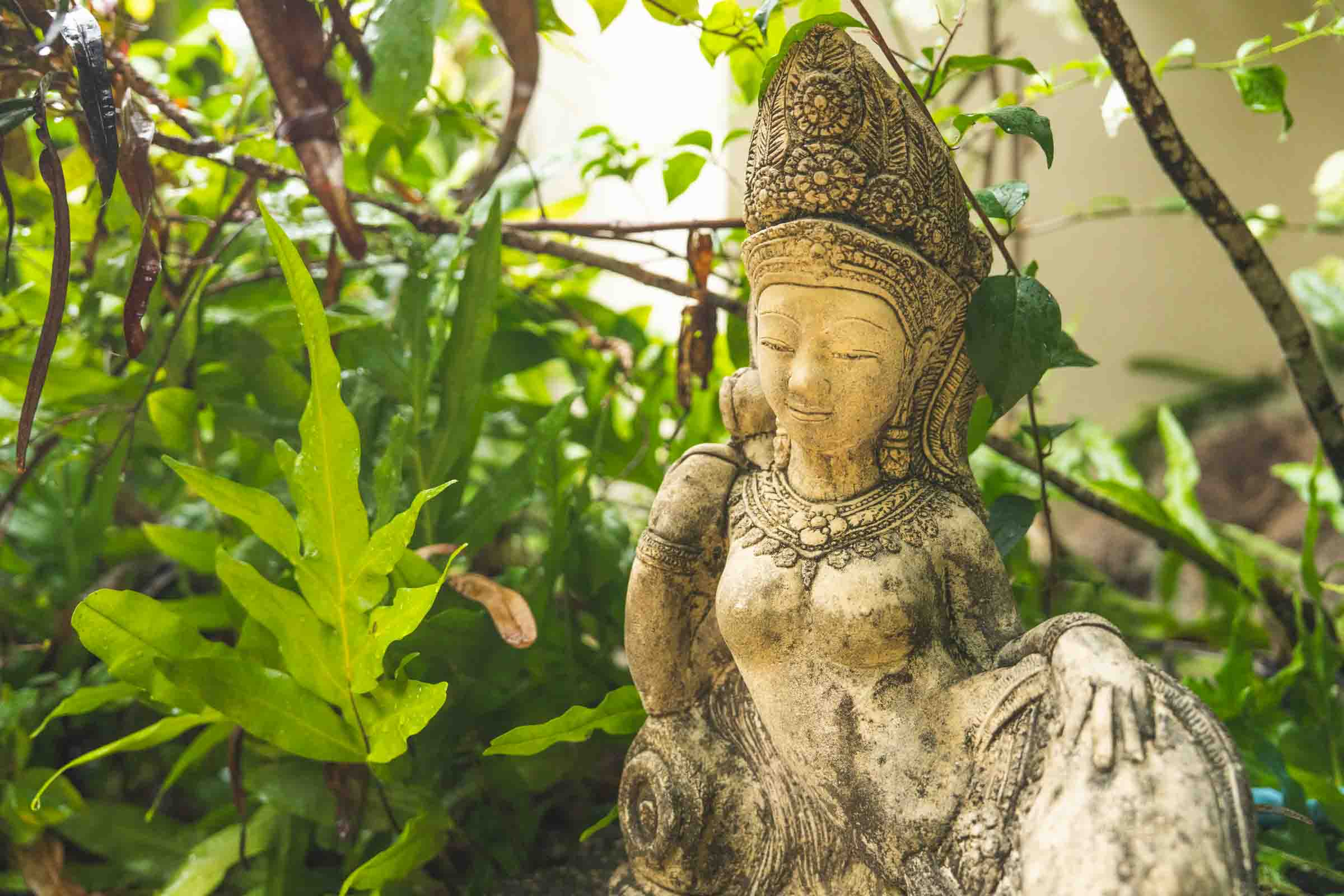 Garden nature
